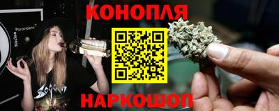 амф Гай
