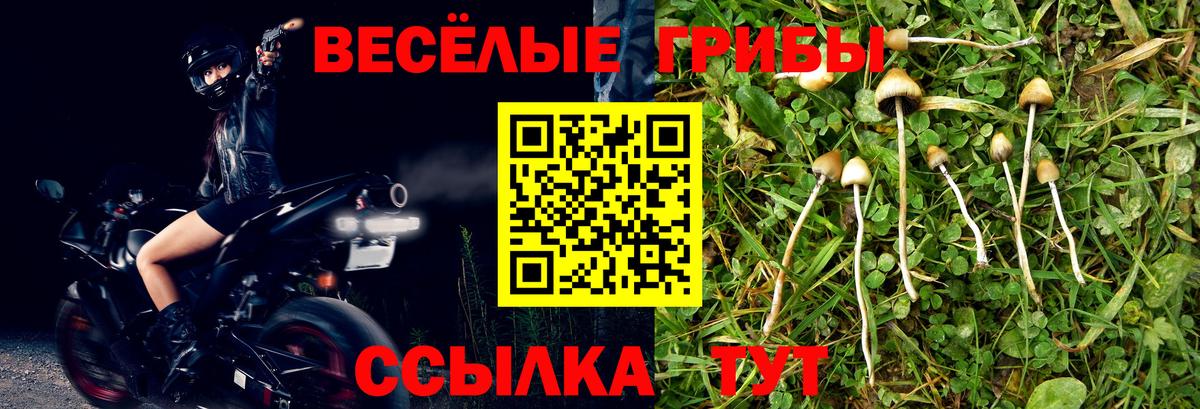 Галлюциногенные грибы Cubensis Белогорск