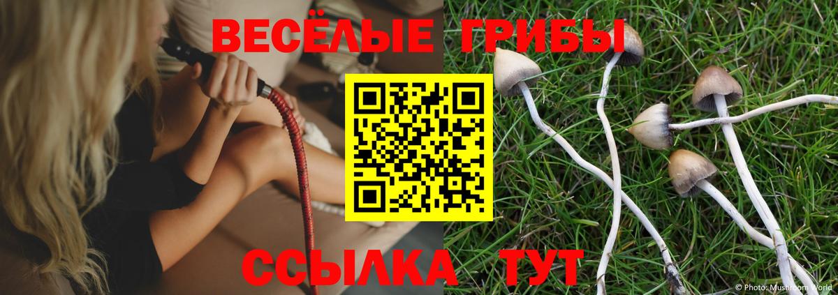 Галлюциногенные грибы Psilocybine cubensis  Вход с VPN  Галлюциногенные грибы прущие грибы  Белогорск 